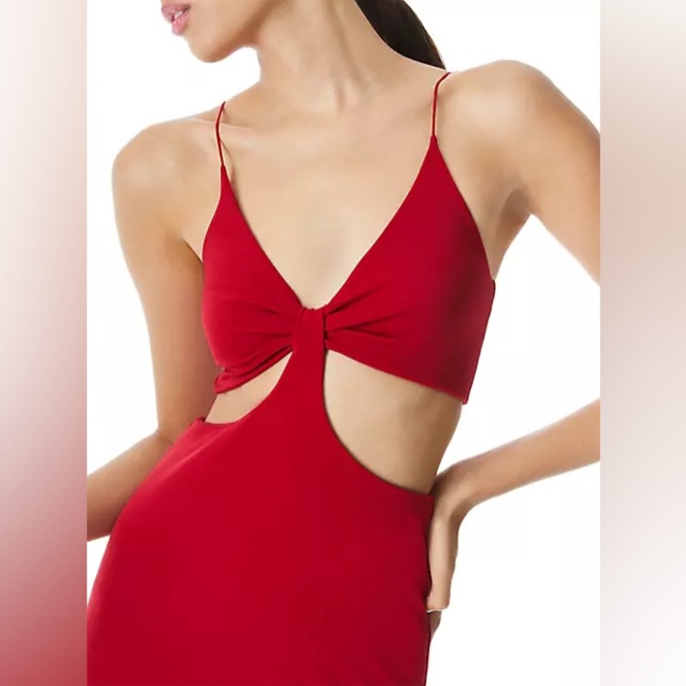 Alice + Olivia cutout maxi - never been worn!
